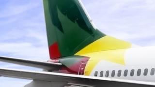 Grâce à "la bravoure" de son équipage, l'avion a atterri "sans heurt", selon la Camair-Co.