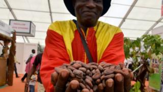 Les coopératives de cacao fournissent la matière première.