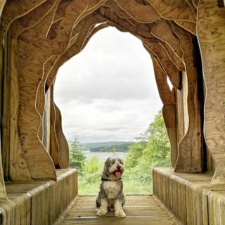 Logan posing at Freya's Cabin at Kielder Water and Forest Park in Northumberland