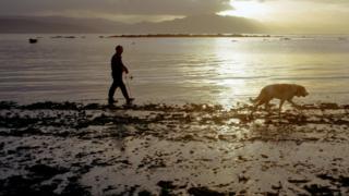 Un hombre y un perro en la playa
