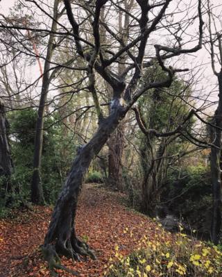 Boundary Brook Oxford