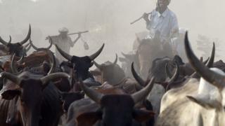 Shanu da Fulani