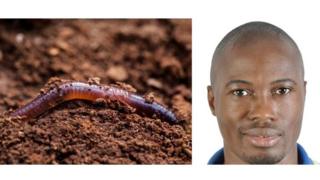 Roméo Dou, microfertile, lombric compostage, Rémy Nsabimana, Afrique Avenir, BBC Afrique