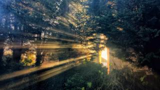 Afternoon rays in Cowley