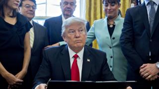 ABD Başkanı Donald Trump, göreve geldiği 20 Ocak tarihinden beri çok sayıda kararnameye imza attı.