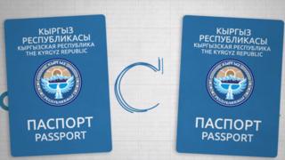 2012-жылдан тартып УКМК тарабынан паспортко байланыштуу 150 кылмыш иши козголгон