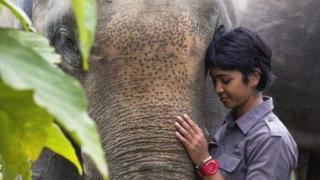 சுற்றுச்சூழல் ஆர்வலர் பர்விசா ஃபர்ஹான்