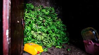 Africa's top shots: 5-11 July 2019 10 Bananas are stored in a storage at the area of Atikilt Tera, in Addis Ababa on July 2, 2019. - Global demand for agricultural products is projected to grow by 15 percent over the coming decade, while agricultural productivity growth is expected to increase slightly faster, causing inflation-adjusted prices of the major agricultural commodities to remain at or below their current levels, according to an annual report by the Organisation for Economic Co-operation and Development 5OECD) and the UN's Food and Agriculture Organization (FAO).