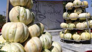 خربزه