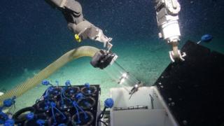 Life thriving on UK's biggest underwater mountains - BBC News