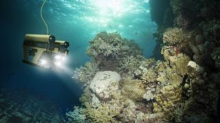 Profunidad del Oceano
