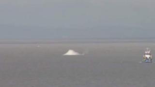 Bristol Channel WW2 bomb destroyed in a controlled explosion