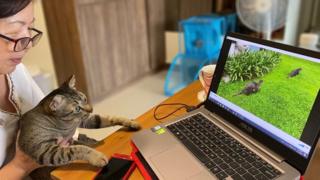 Woman and cat watching a video