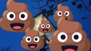 Do you know what happens to your poo? - BBC Newsround