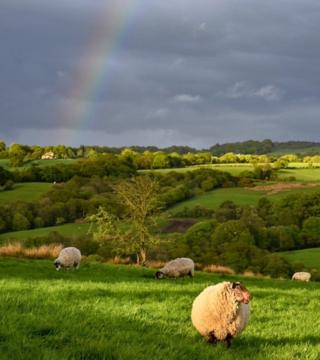 A rainbow over fields