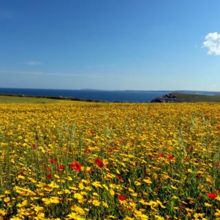 West Pentire, near Newquay in Cornwall