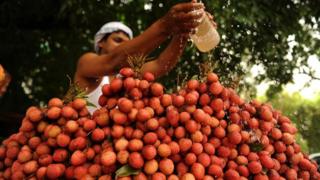 lichi