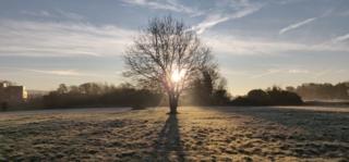The morning sun on Warneford Meadow
