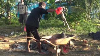 Bangkai 292 buaya yang ada di TKP sudah mulai membusuk.