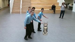Pupils with digital cat