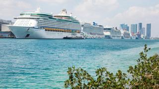 A row of cruise ships docked at a port in Miami