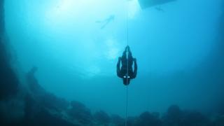 William Trubridge freediver
