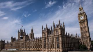 The Houses of Parliament (file image)