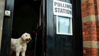 A dog standing in a doorway next to next to a sign saying "polling station"
