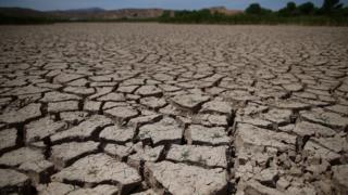 drought