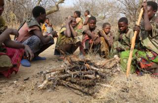 Trying the Hadza hunter-gatherer berry and porcupine diet - BBC News