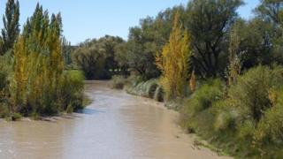 Afon