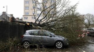 A car is damaged due to a fallen tree during Storm Isha in Linlithgow