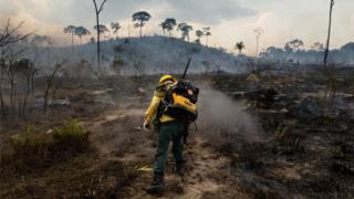 UK fast food linked to Brazilian forest fires 4
