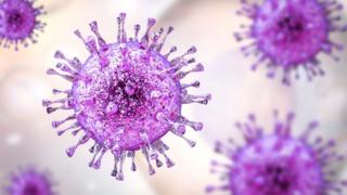 Citomegalovirus