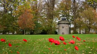 Poppies growing in Dunfermline