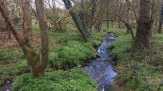 Low level pollution can affect rivers and streams