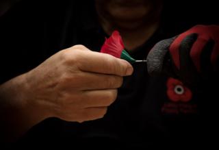 Lady Haig's Poppy Factory