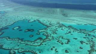 A Grande Barreira de Corais, em registro na costa de Queensland