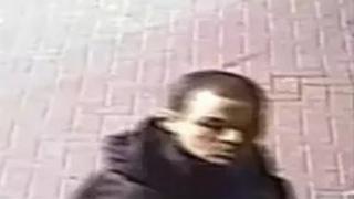 Burglary suspect