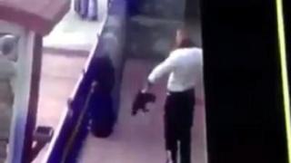 Erzincan'dan kediye işkence görüntüleri
