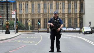 Police outside Houses of Parliament after car crash on 14 August 2018