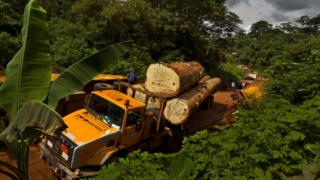 Lorry carrying tropical timber, file pic