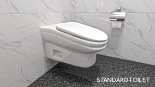 The sloping toilet design shown in a digital mock up