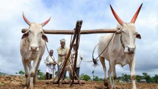 हवामान