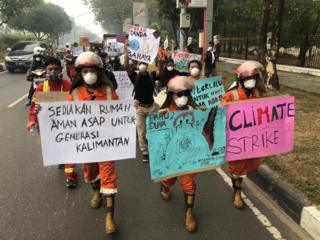 palangkaraya, kebakaran hutan
