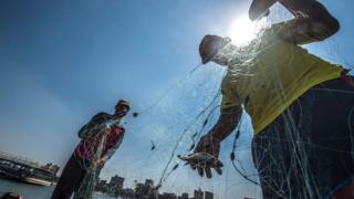 Egyptian fishermen pull their fishing net out of the Nile river in Cairo on July 21, 2017.