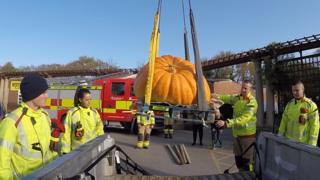 Large pumpkin is moved using an aerial ladder platform