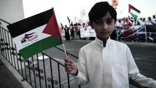 ولد يحمل علم فلسطين