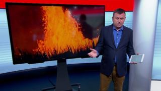 Олег Антоненко