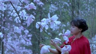 李子柒